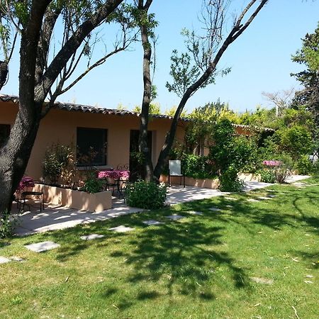 Bed and Breakfast Mas La Provence LʼIsle-sur-la-Sorgue Exterior foto